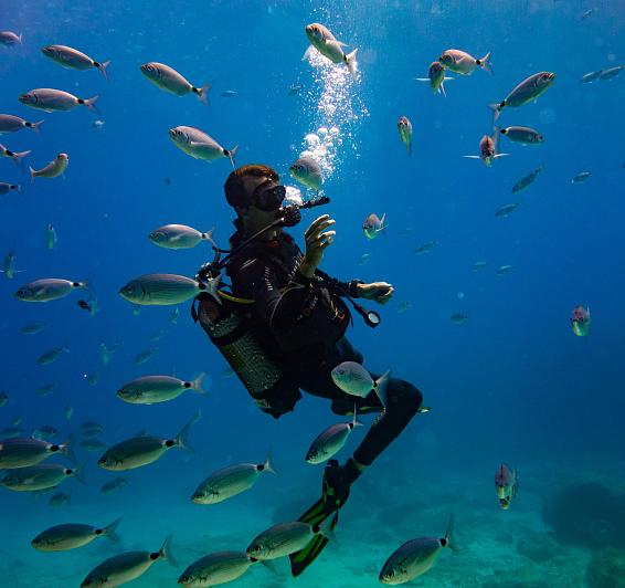 Buceo